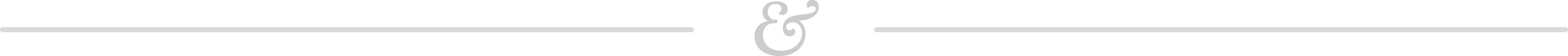 Divider Image