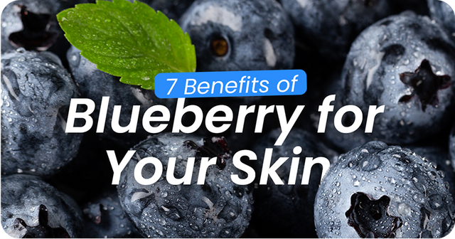 7 Rejuvenating Benefits of Blueberry for Your Skin