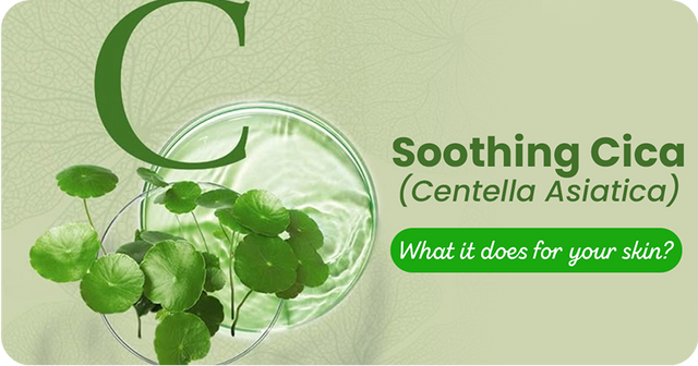 8 Healing Benefits of Cica (Centella Asiatica) for Skin