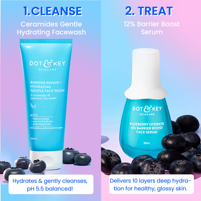Barrier Repair CSMS Routine