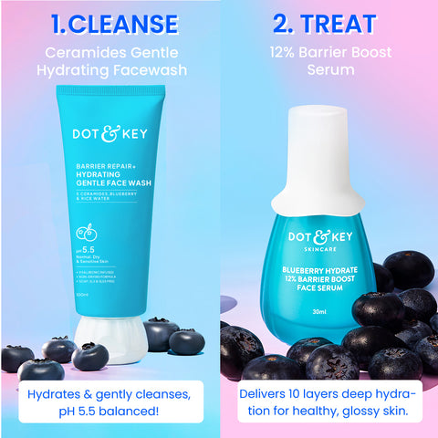Barrier Repair CSMS Routine