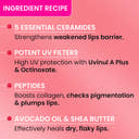 Ceramide + Peptide Lip Balm In-Vivo Tested SPF 50+ PA+++