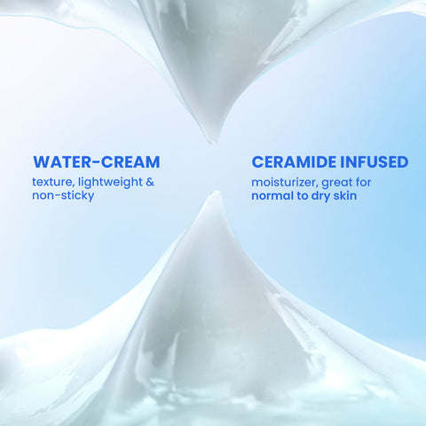 Barrier Repair Moisturizer (Hyaluronic + Ceramides)