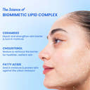 Barrier Repair Moisturizer (Hyaluronic + Ceramides)