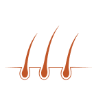 Promotes new hair growth