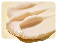 Meltie Lip Balm In-Vivo Tested SPF 50+ PA+++
