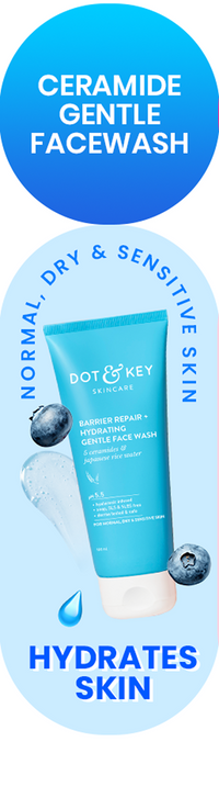 Cica + Salicylic Acid Face Wash for Oily Skin