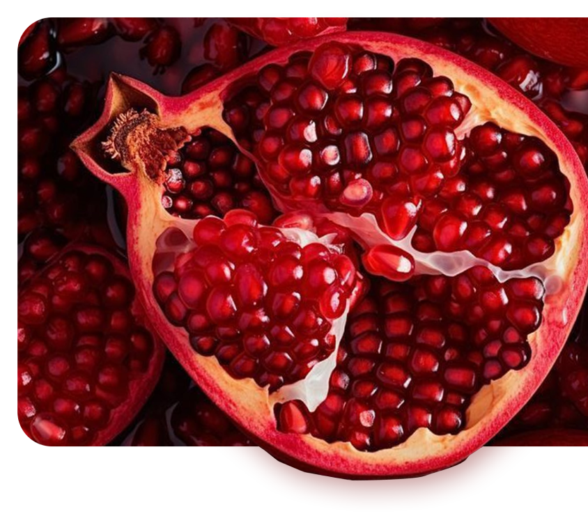 POMEGRANATE