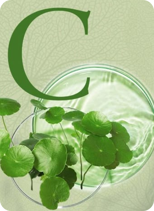 8 Healing Benefits of Cica (Centella Asiatica) for Skin