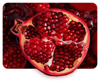 Pomegranate + Multi-Peptide Anti Ageing Moisturizer SPF 30