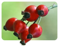 Pomegranate + Retinol Eye Cream for Dark Circles