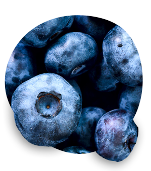 Blueberry
